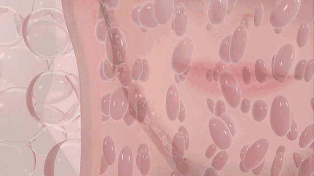 1782027933662751.gif